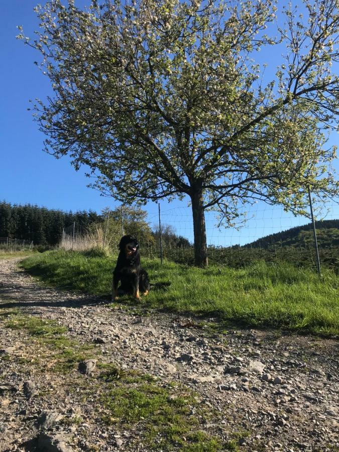 Ortmanns Eulennest Villa Finnentrop Luaran gambar