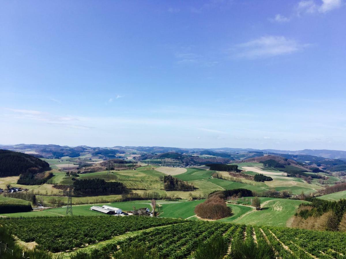 Ortmanns Eulennest Villa Finnentrop Luaran gambar