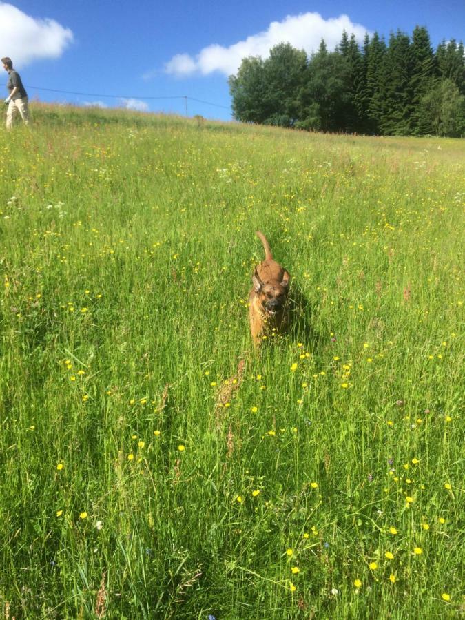 Ortmanns Eulennest Villa Finnentrop Luaran gambar
